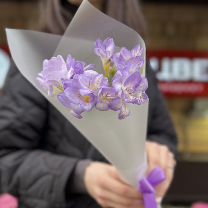 5 фиолетовых фрезий